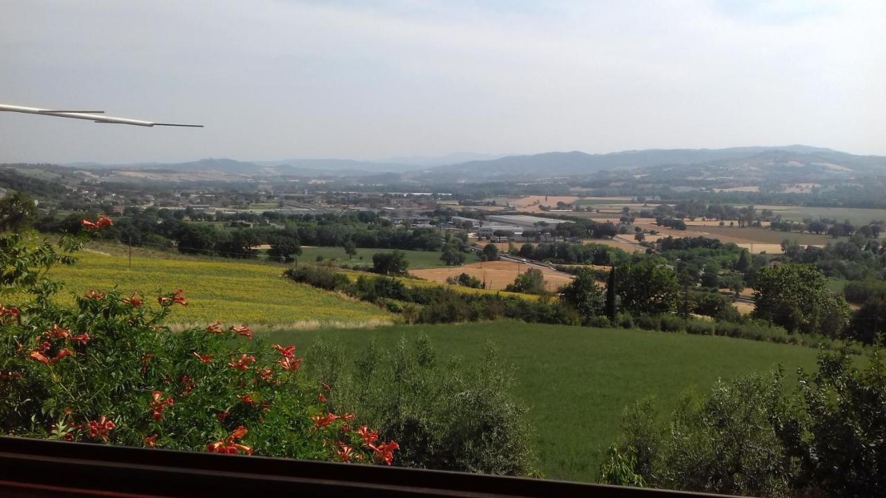 Agrifoglio Apartment Pantalla Bagian luar foto